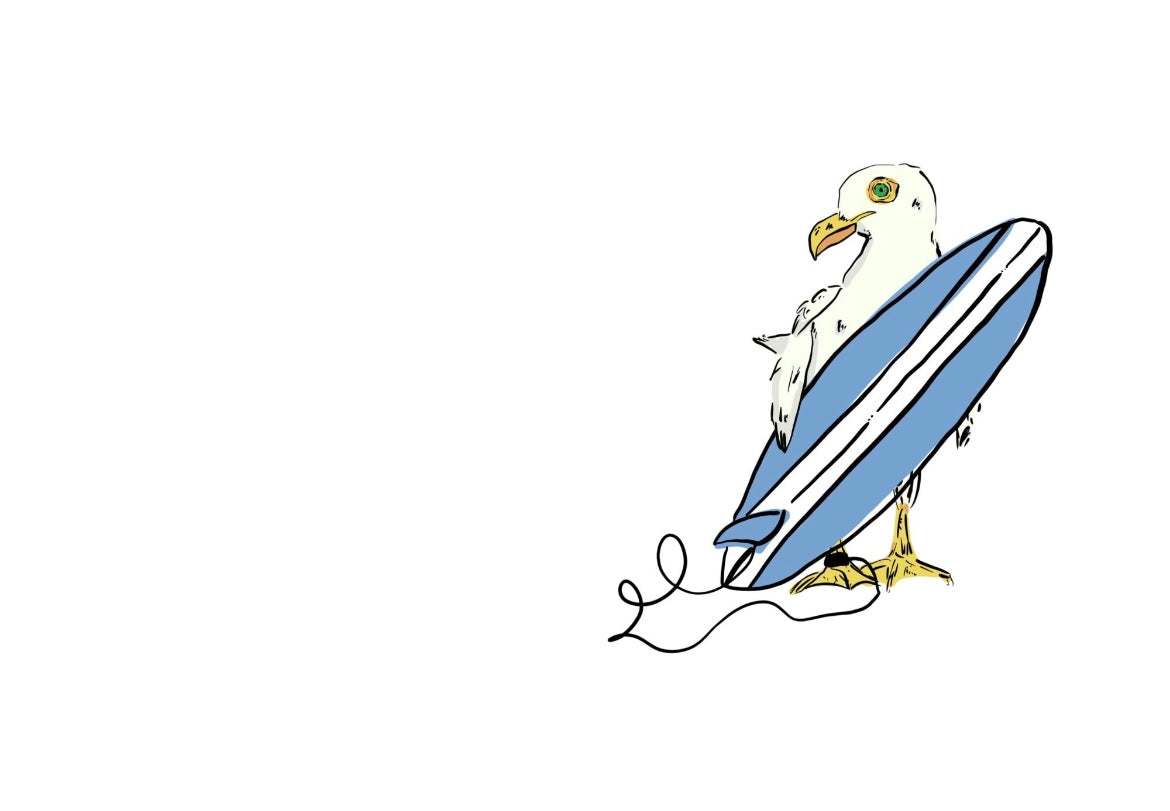 Note Card | Surfing Gull