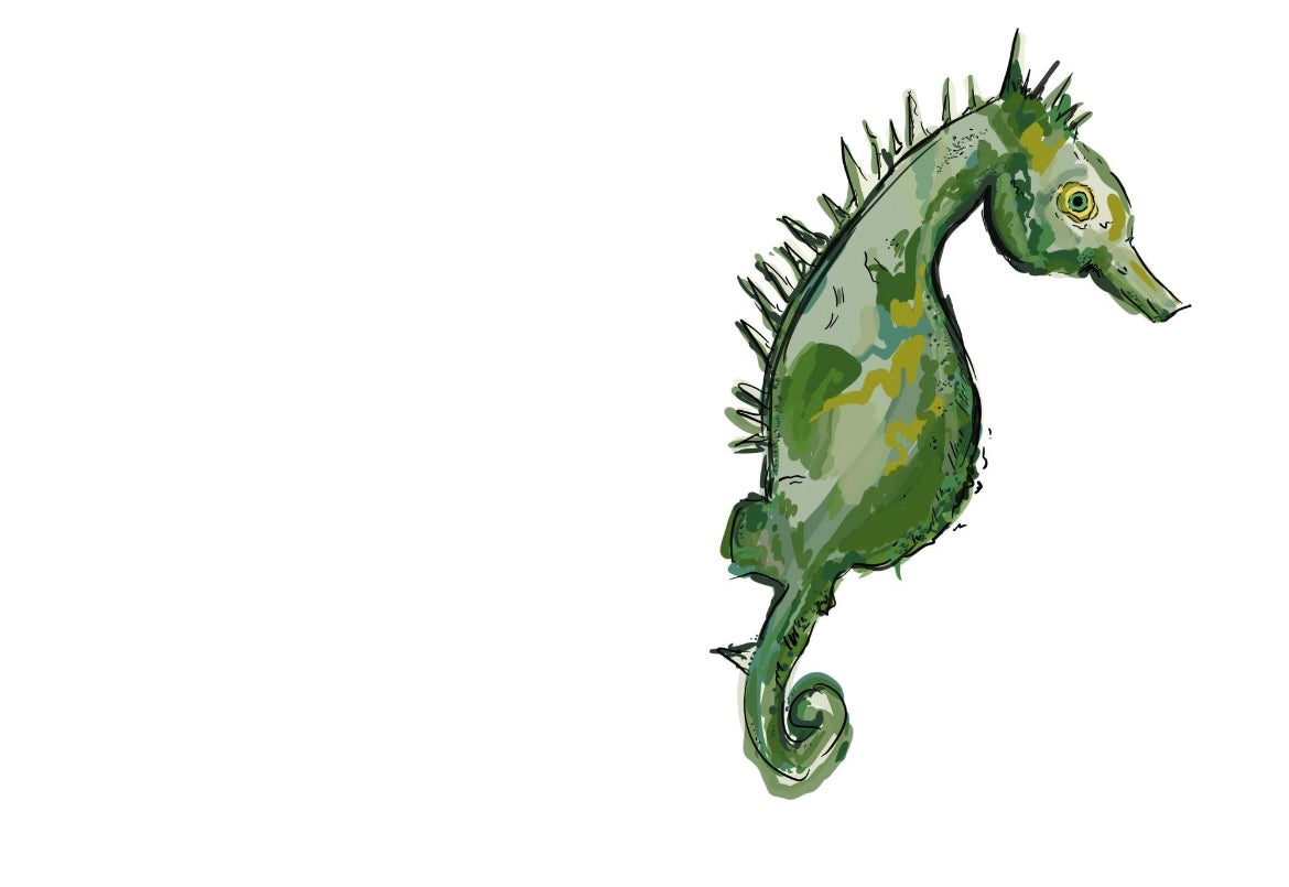 Note Card | Seahorse