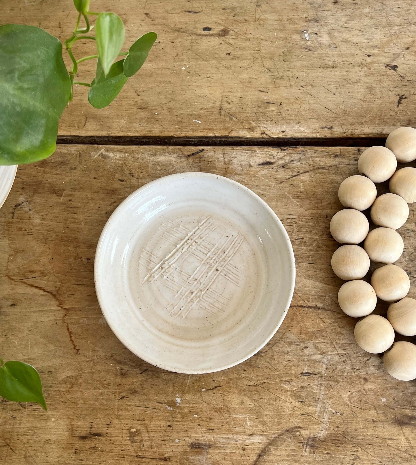 Ceramic Garlic Grater | White