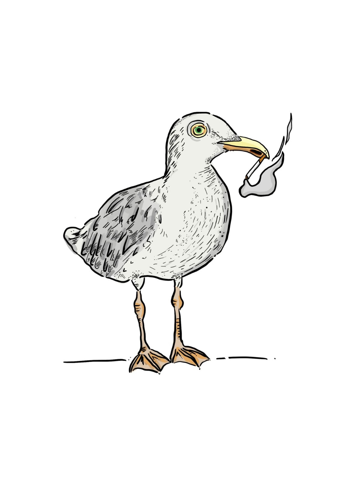 Print | Smoking Gull