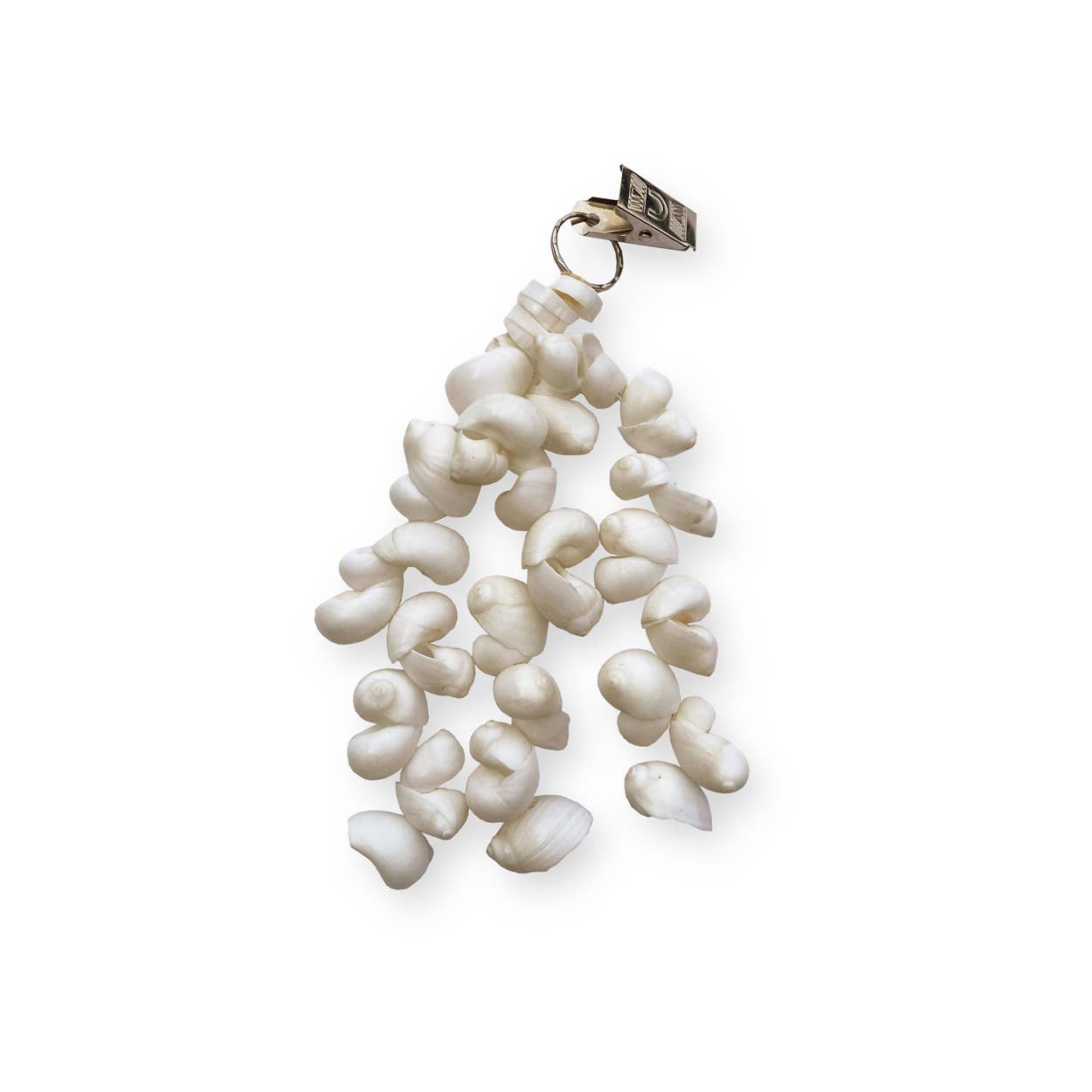 Decor | Table Cloth Shells