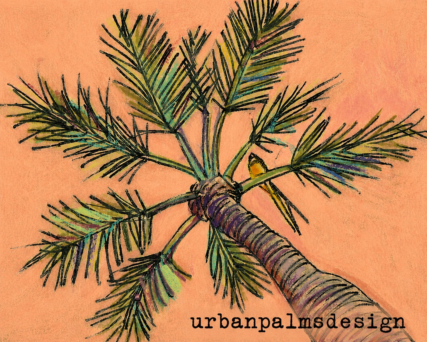 Urban Palm Design