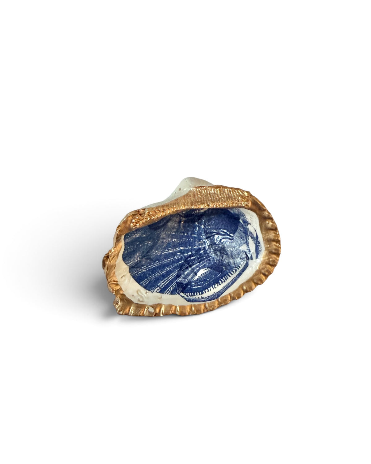 Original Art | Mini Mollusk Shell Babies | Blue