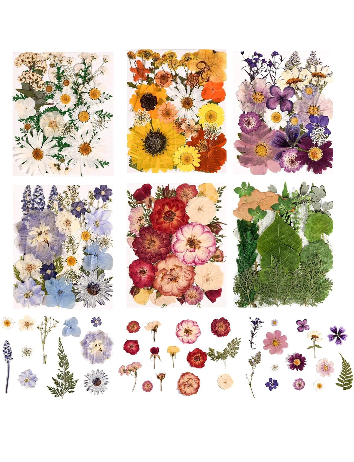 Boho House Community Craft | Floral Pumpkins | September 30th