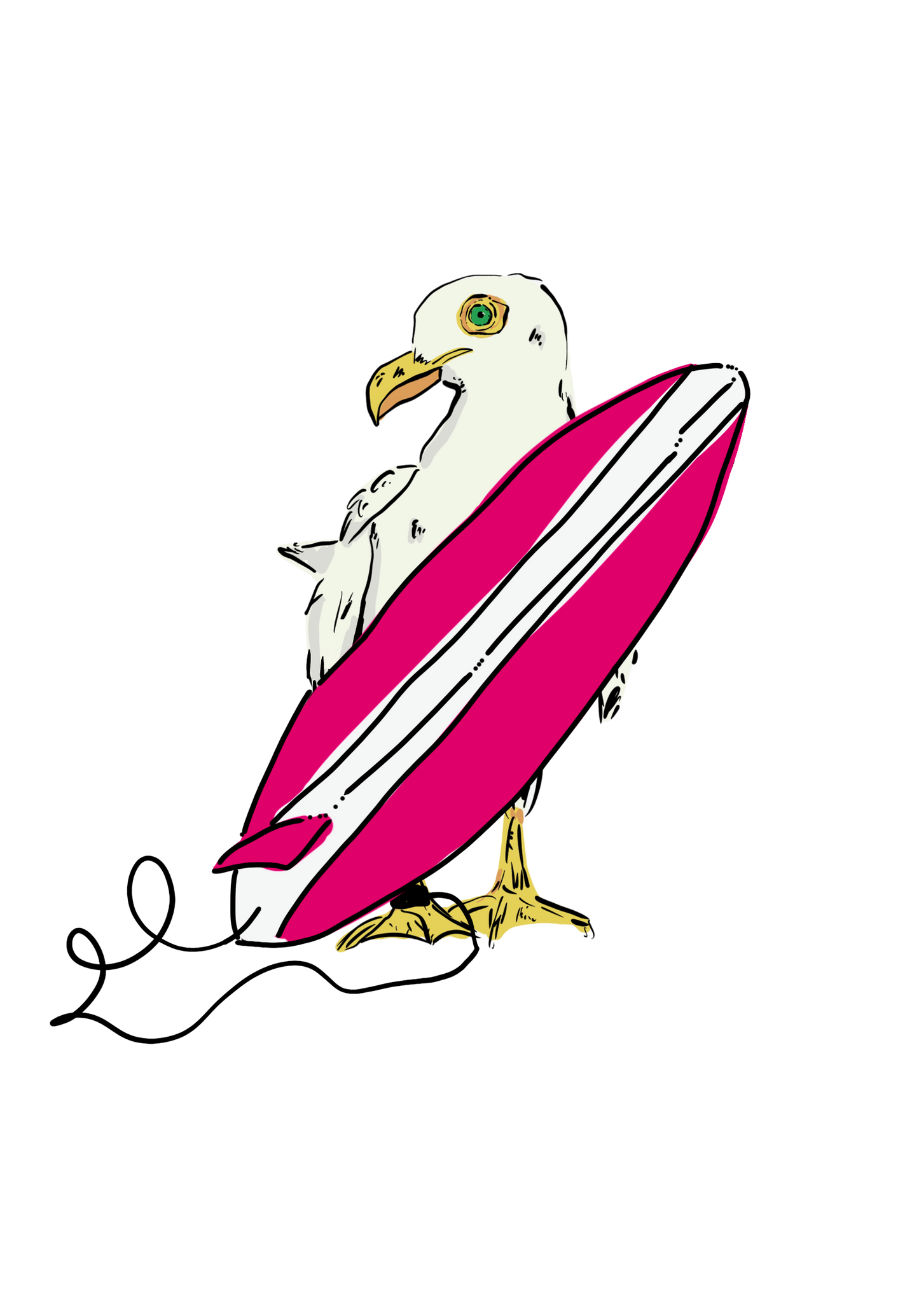 Print | Pink Surfing Gull