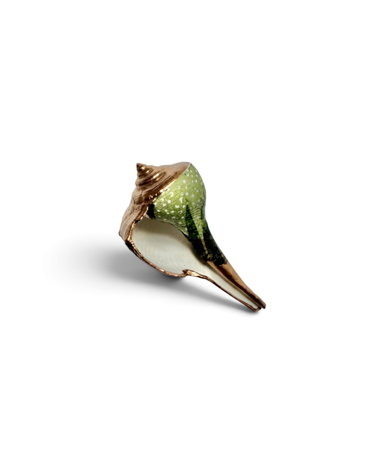 Mini Mollusk Shell Babies | Fall Collection