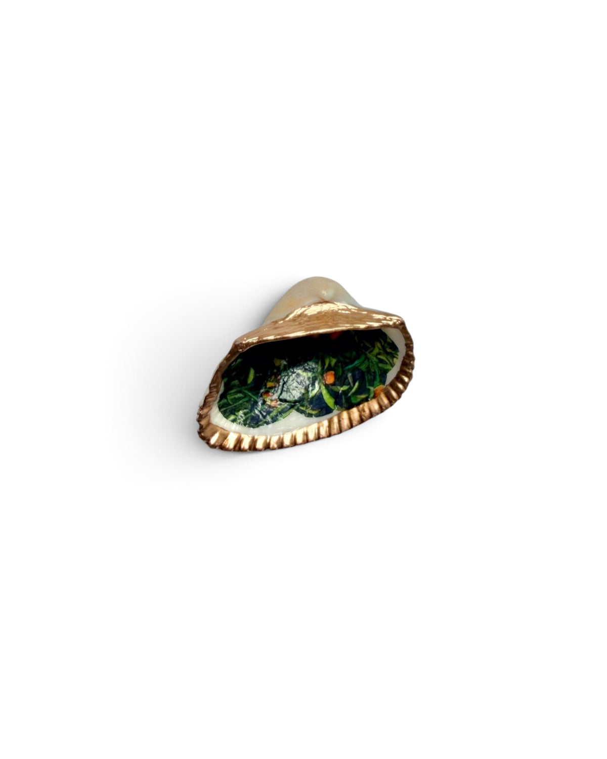 Mini Mollusk Shell Babies | Fall Collection