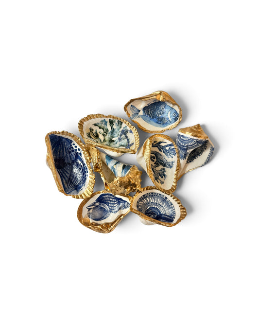 Original Art | Mini Mollusk Shell Babies | Blue