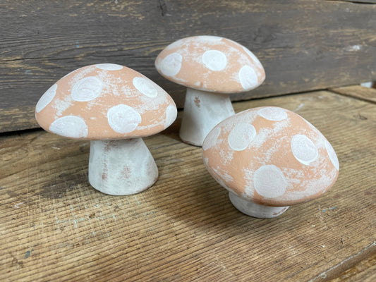 Decor | Shrooms | Orange