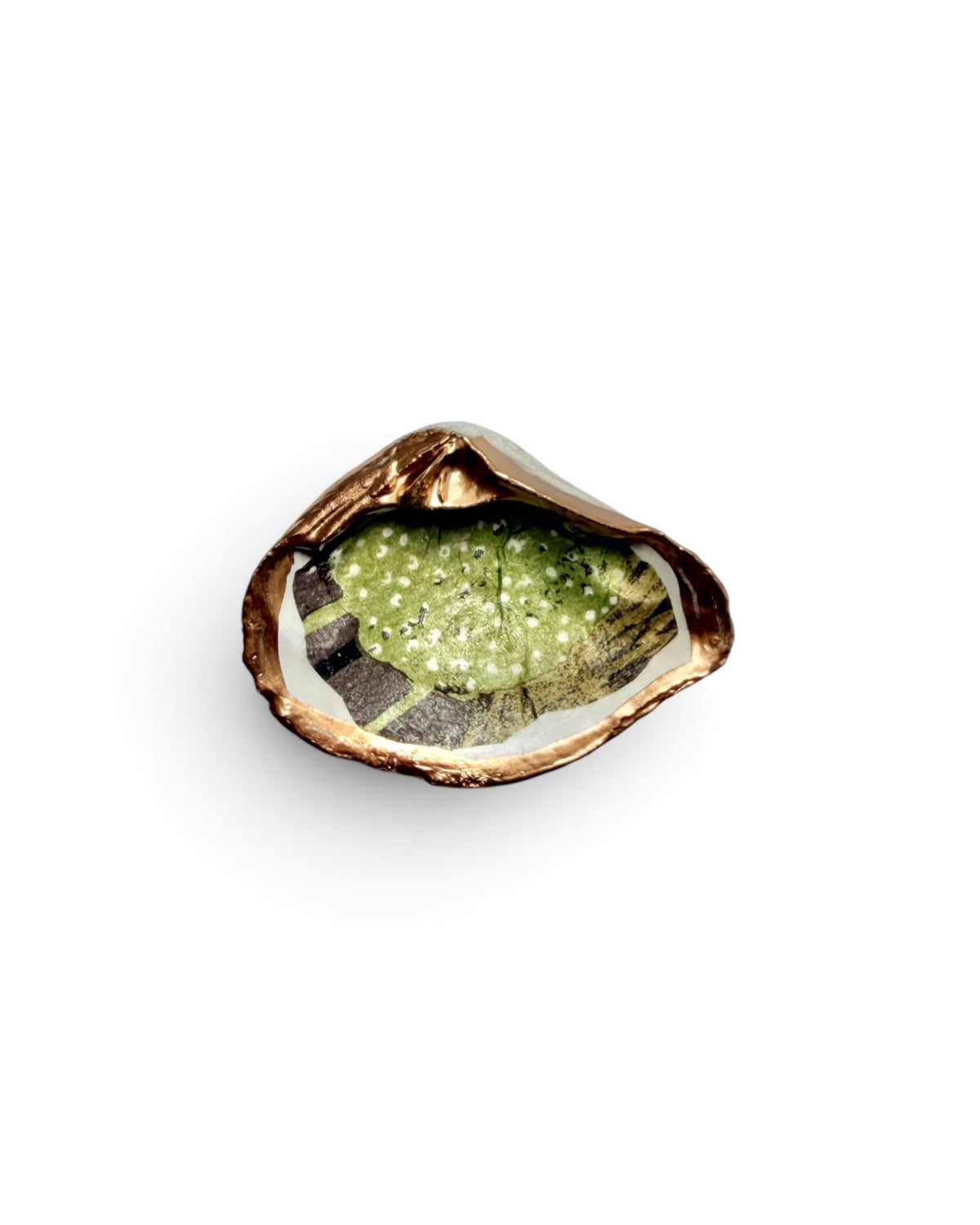 Mini Mollusk Shell Babies | Fall Collection