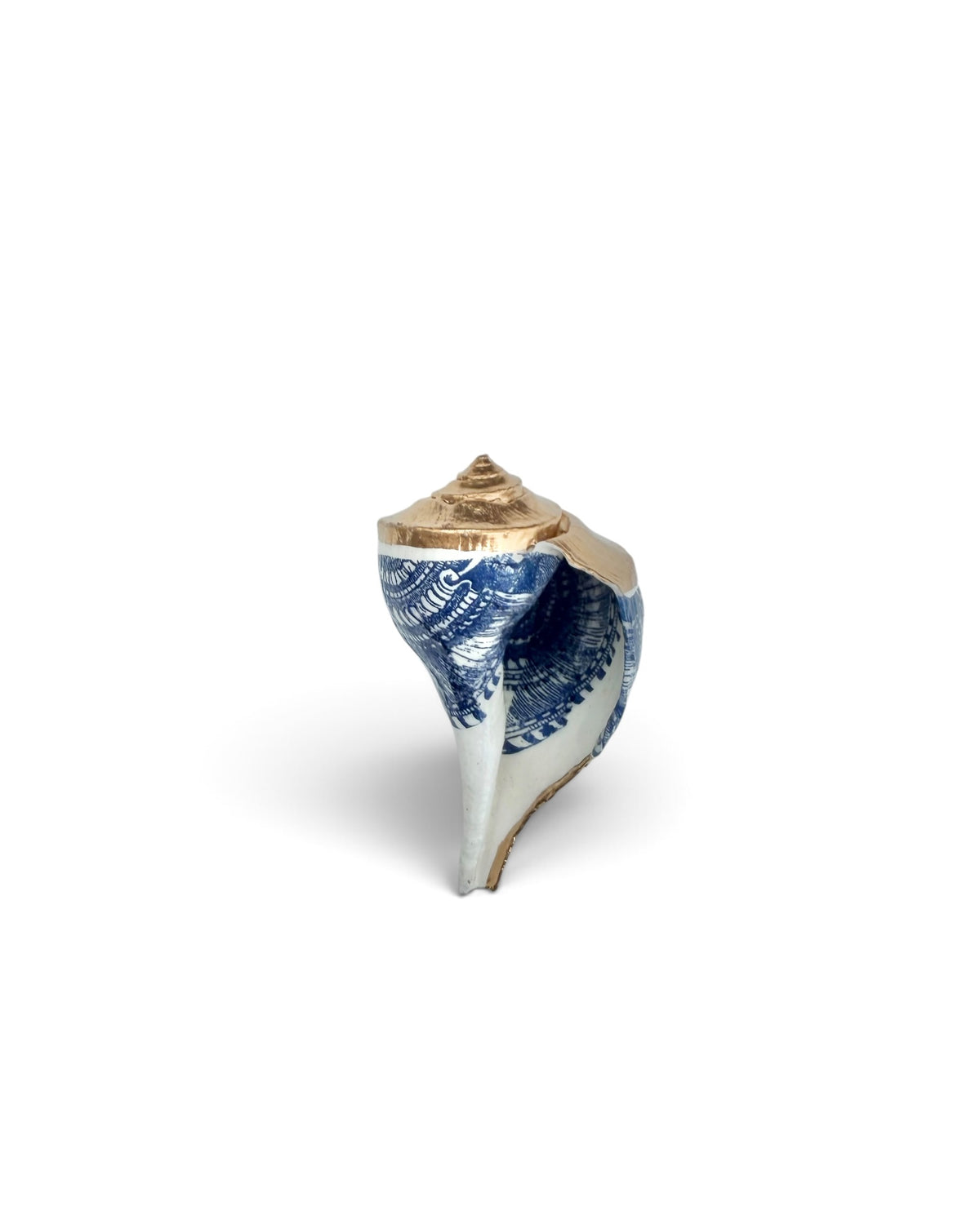 Original Art | Mini Mollusk Shell Babies | Blue