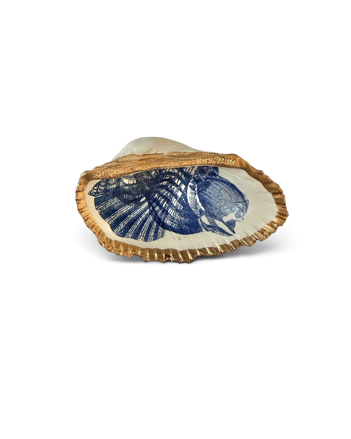 Original Art | Mini Mollusk Shell Babies | Blue