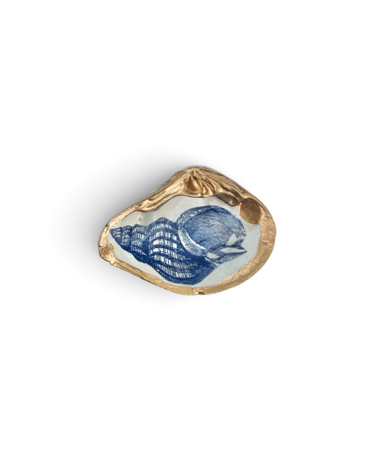 Original Art | Mini Mollusk Shell Babies | Blue