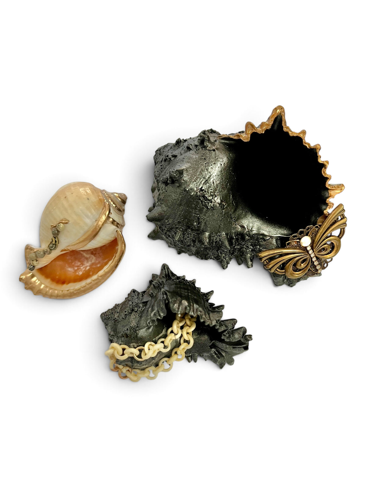 Mollusk Shell Art | Fall Trio