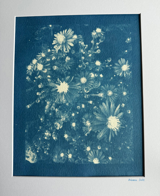 Smooth Blue Aster Cyanotype | 8x10