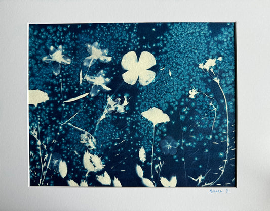 Floralscape Wet Cyanotype | 8x10 | 1/1
