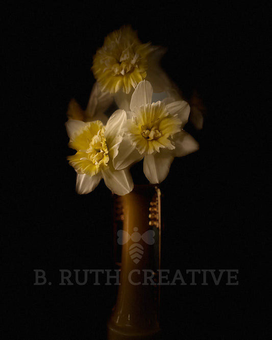 Daffodils | Color Photograph | 8x10