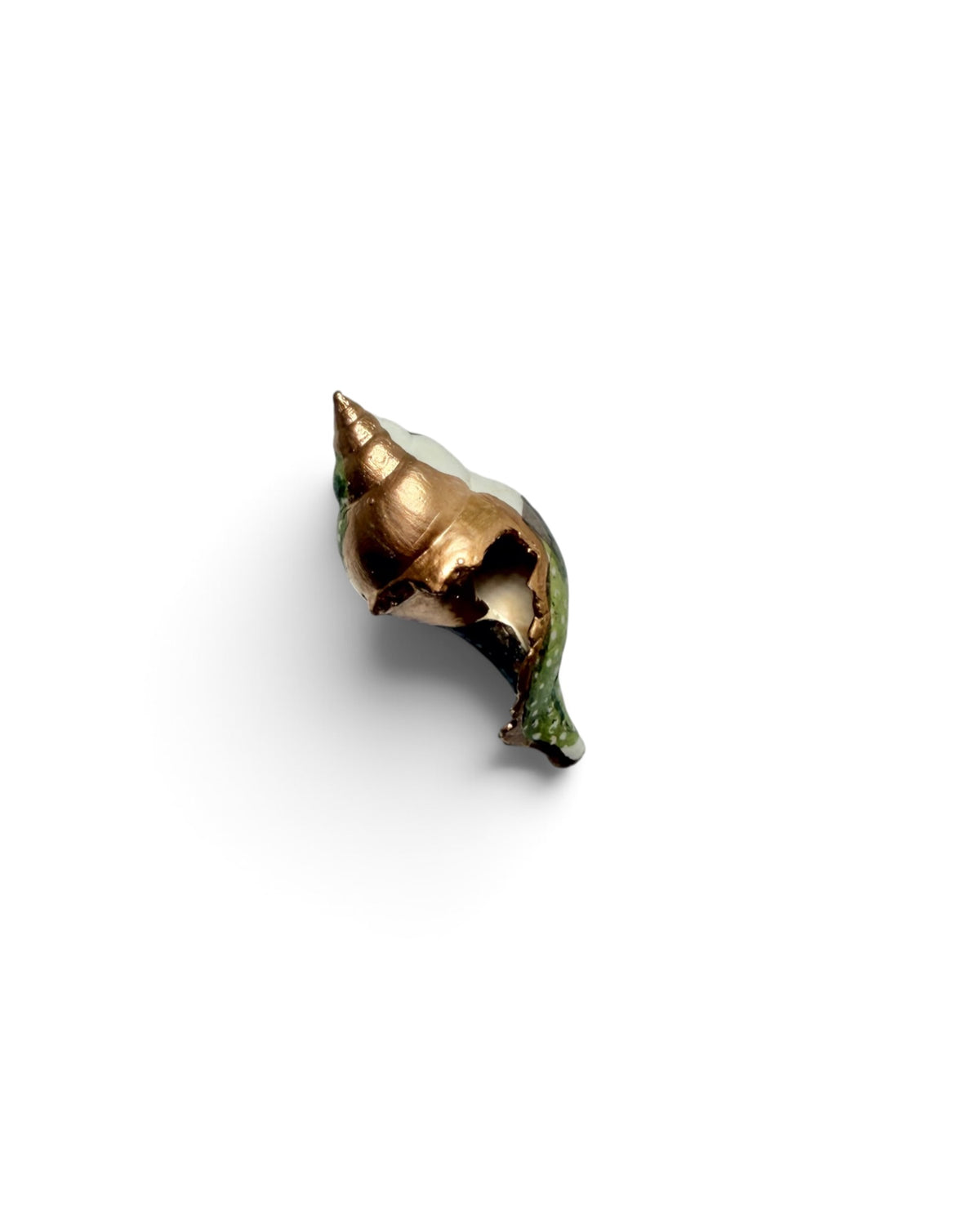 Mini Mollusk Shell Babies | Fall Collection