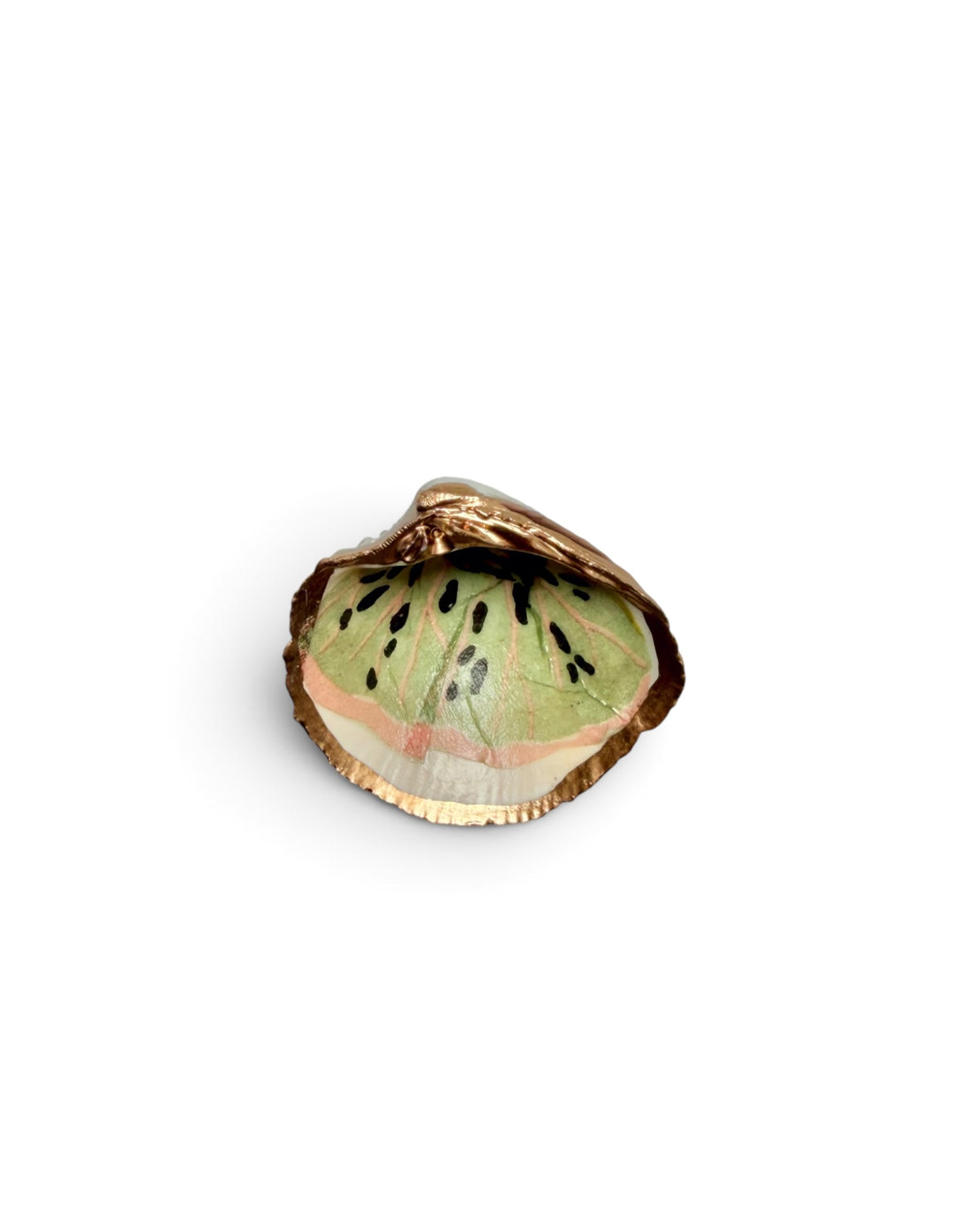 Mini Mollusk Shell Babies | Fall Collection