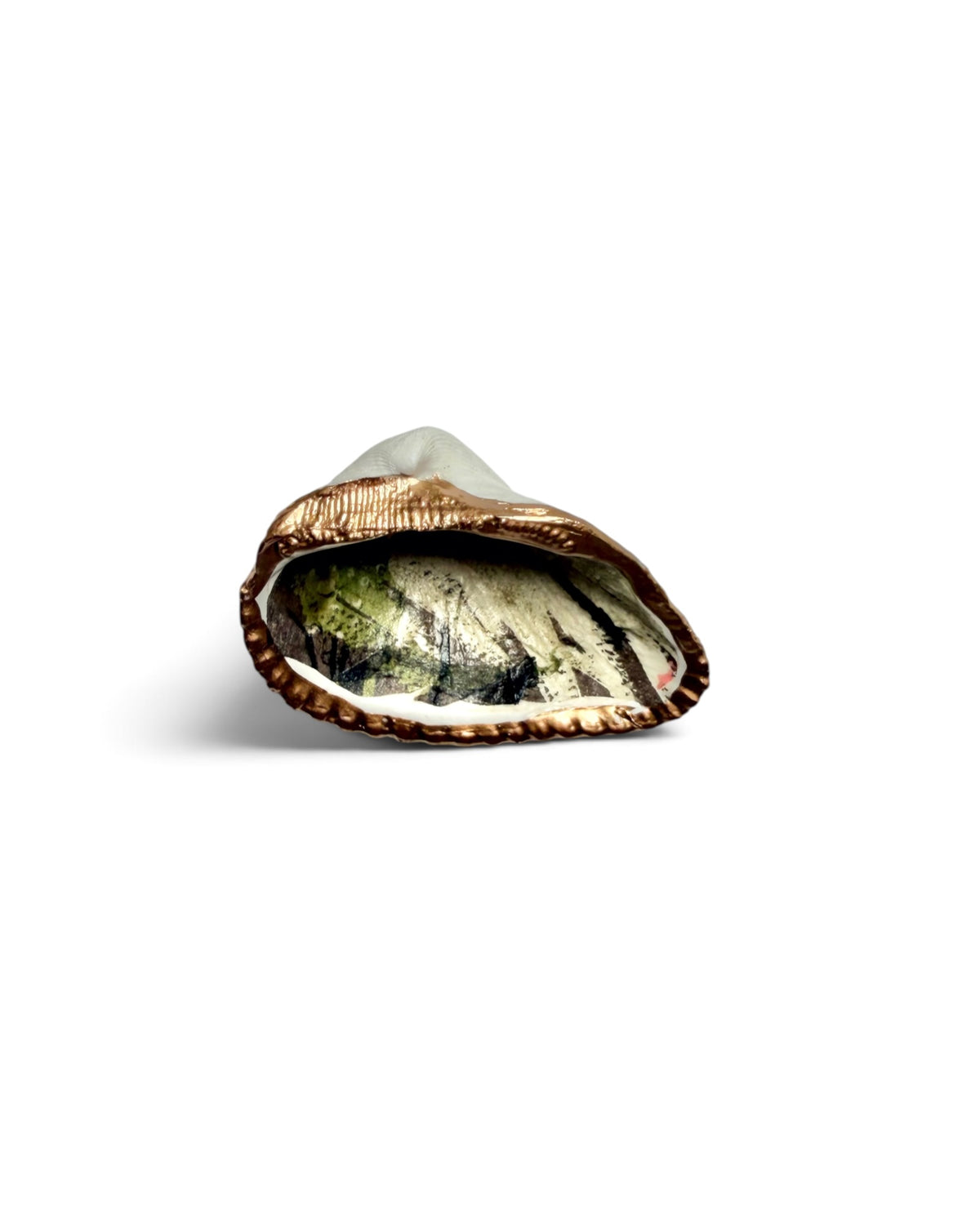 Mini Mollusk Shell Babies | Fall Collection