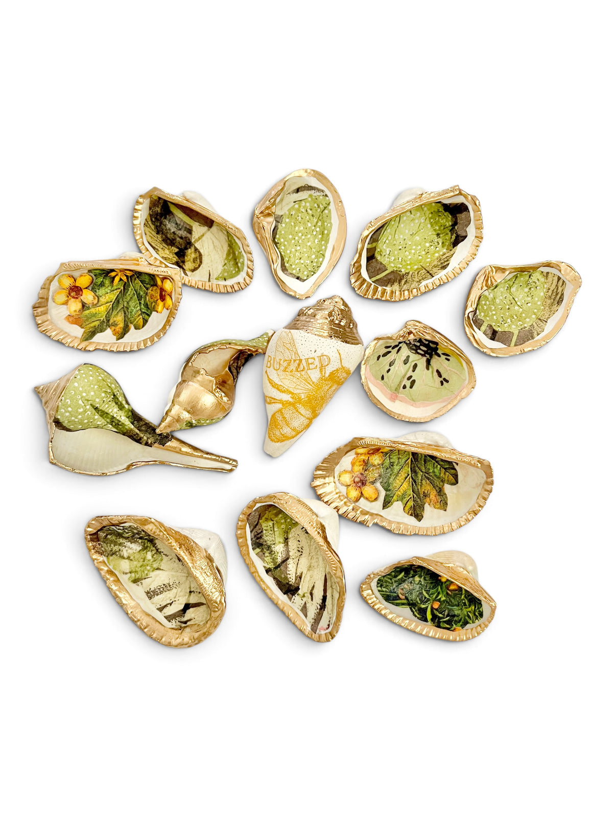 Mini Mollusk Shell Babies | Fall Collection