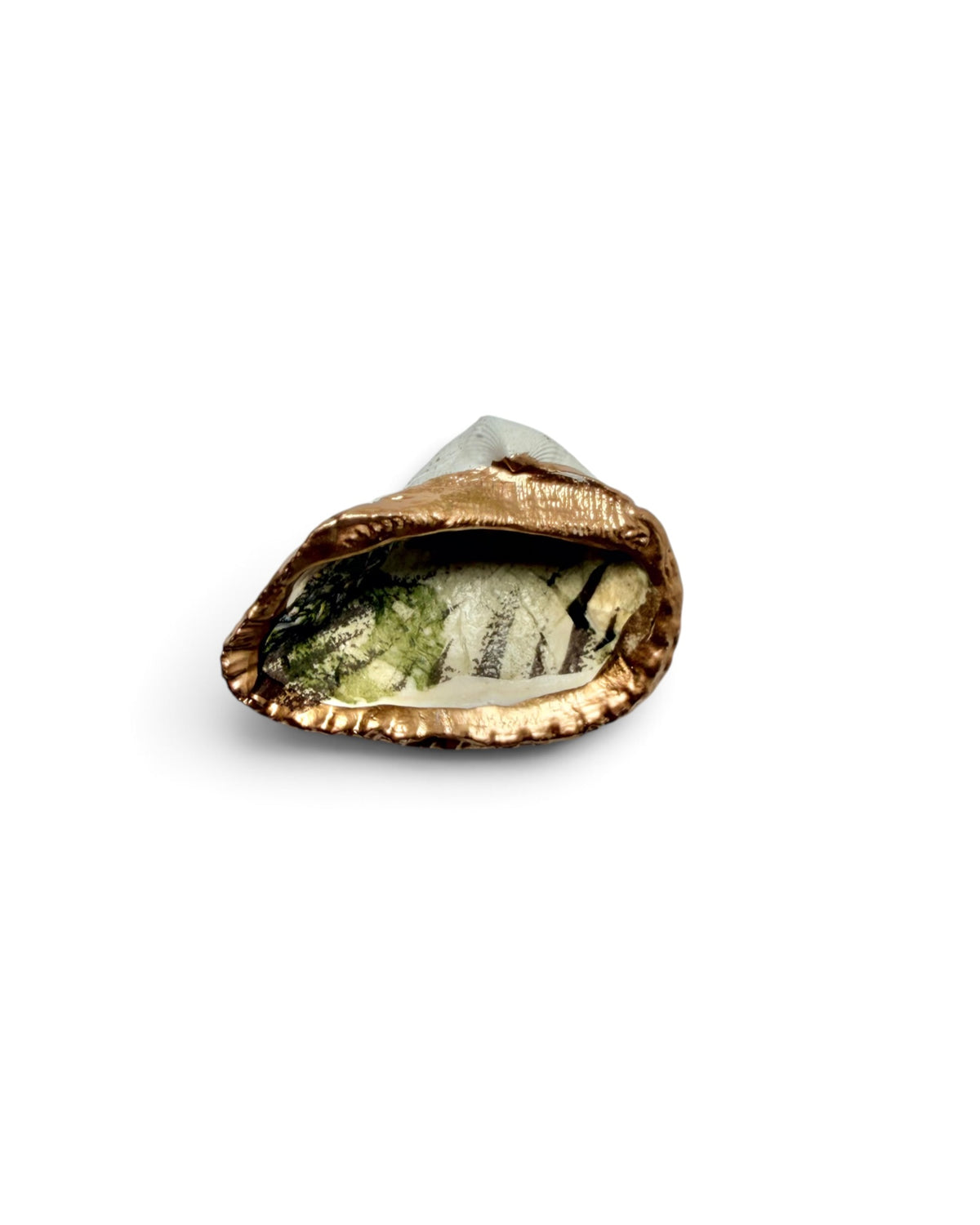 Mini Mollusk Shell Babies | Fall Collection