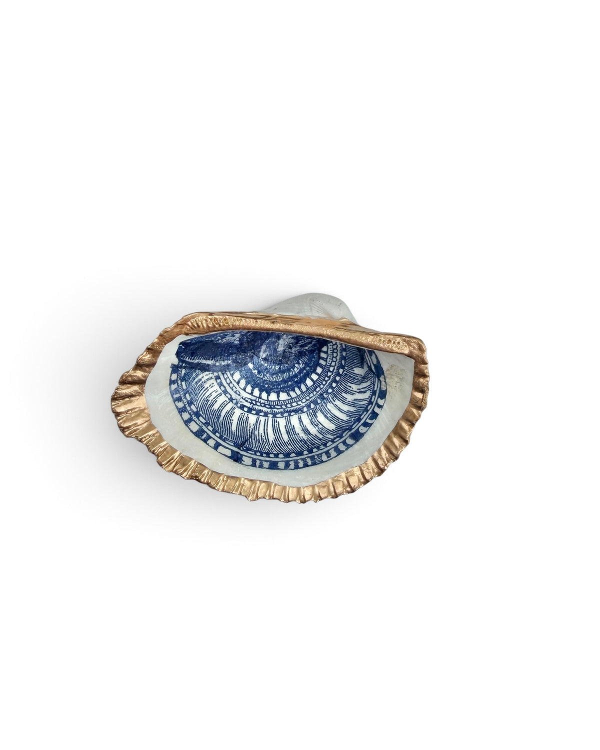 Original Art | Mini Mollusk Shell Babies | Blue