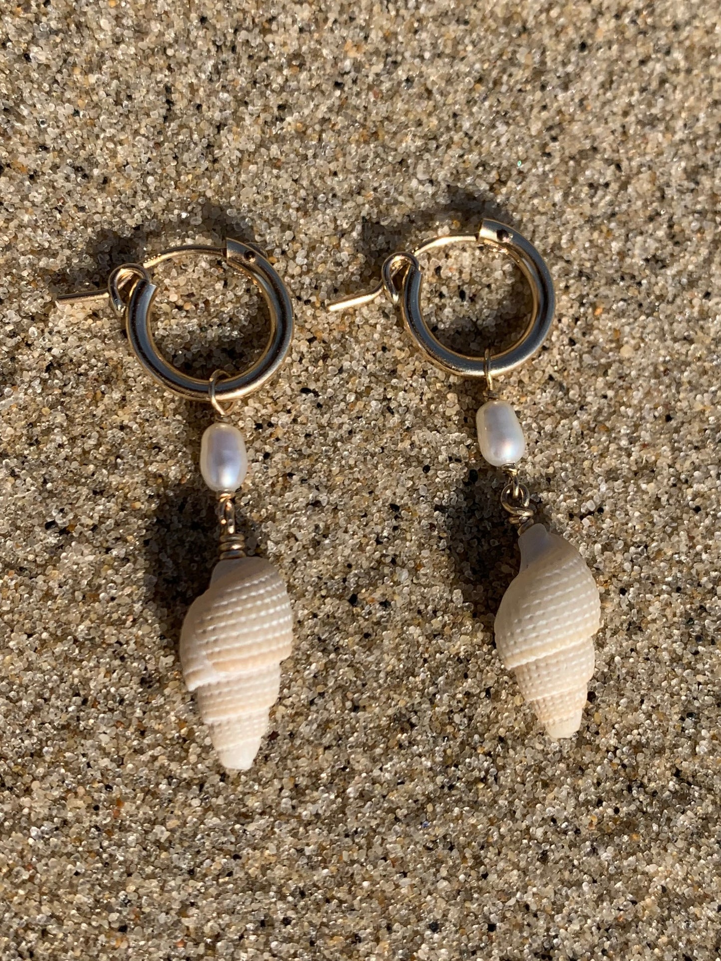 Local Seashell Hoops