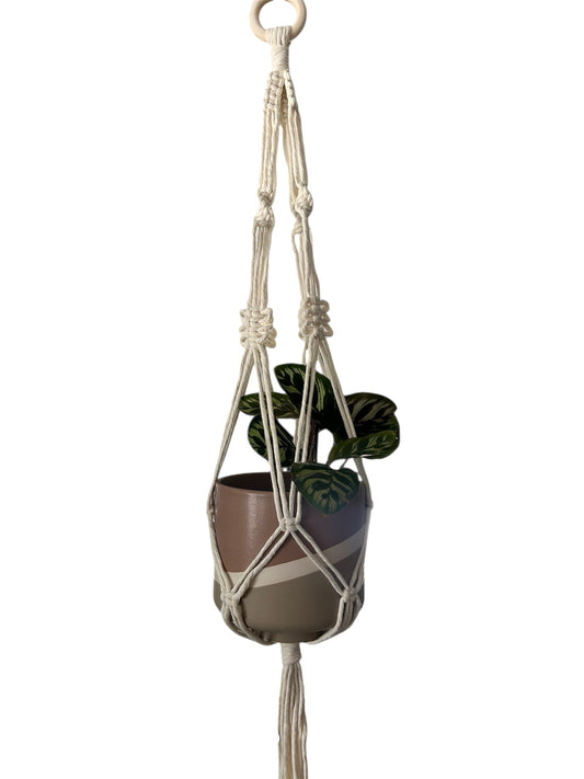 Plant Hanger | 8 Around | White