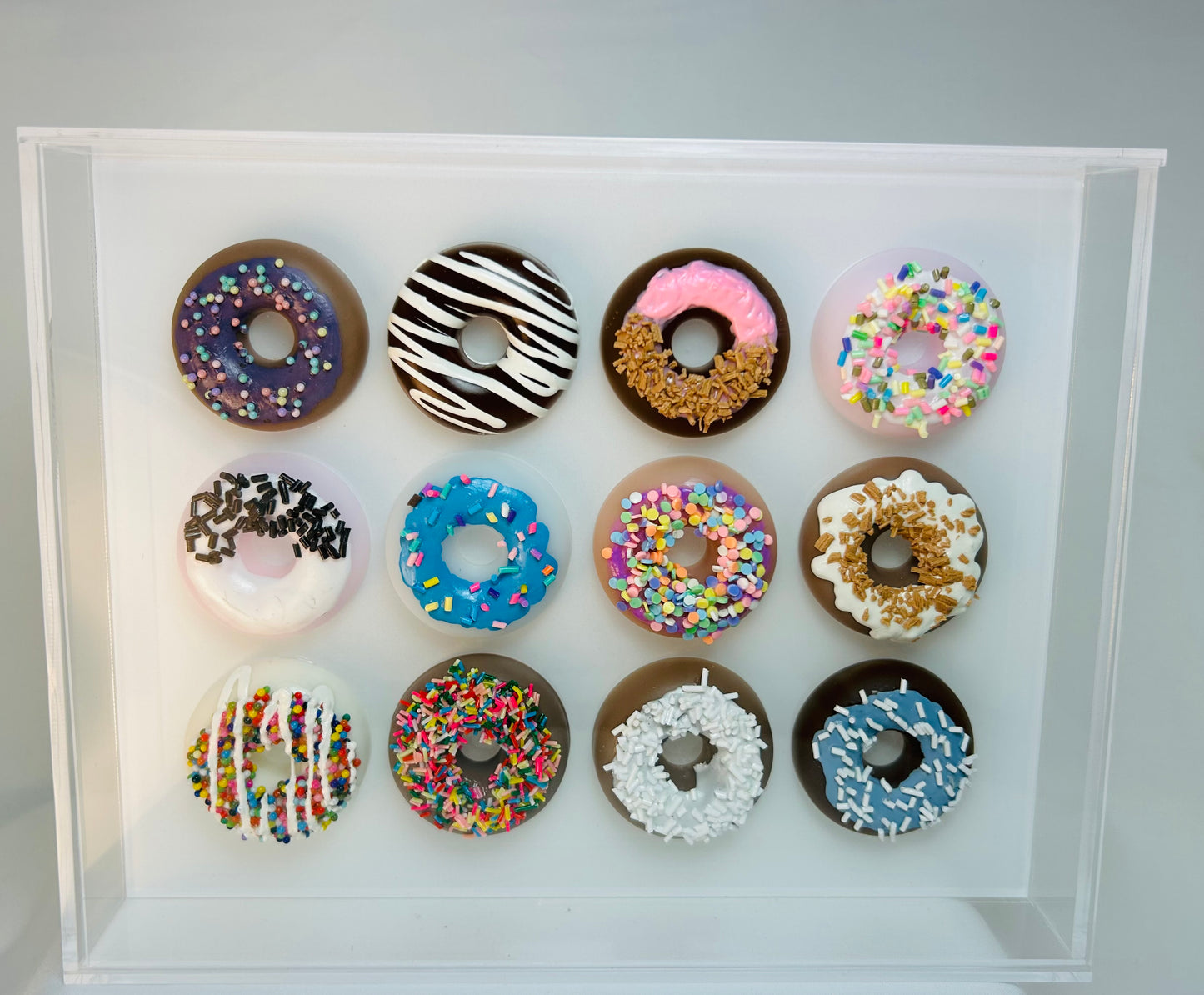 Resin and Acrylic 12 Donut Art