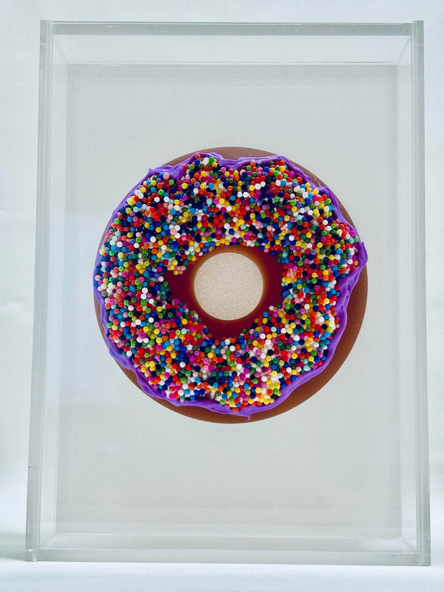 Resin and Acrylic Single Donut Art