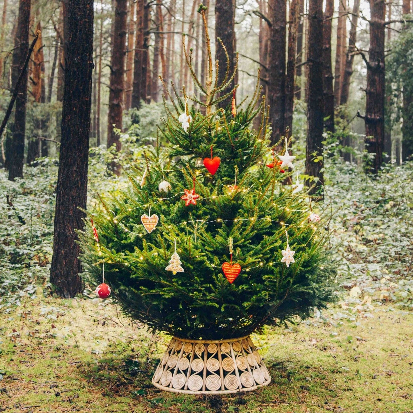 Boho Rattan Tree Collar | Large