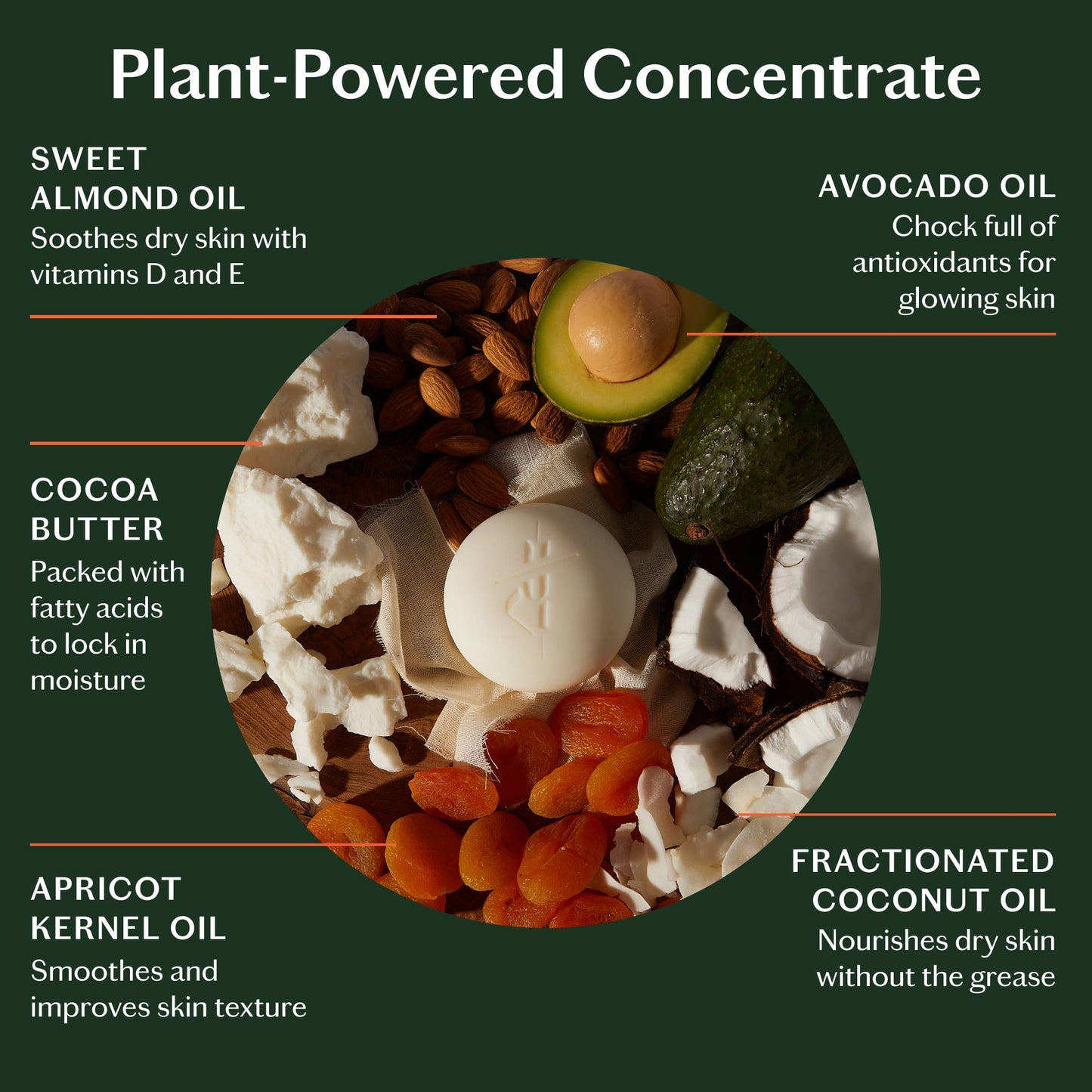 Unscented Stone | Deep Moisturizing Lotion Bar: Starter Kit (3.5 oz)