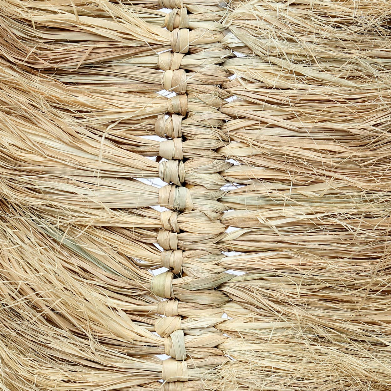 Decor | Raffia Plumeira